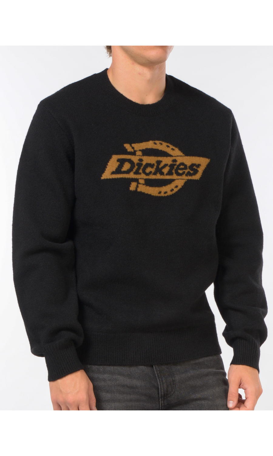 maglia da uomo Dickies girocollo maxi logo