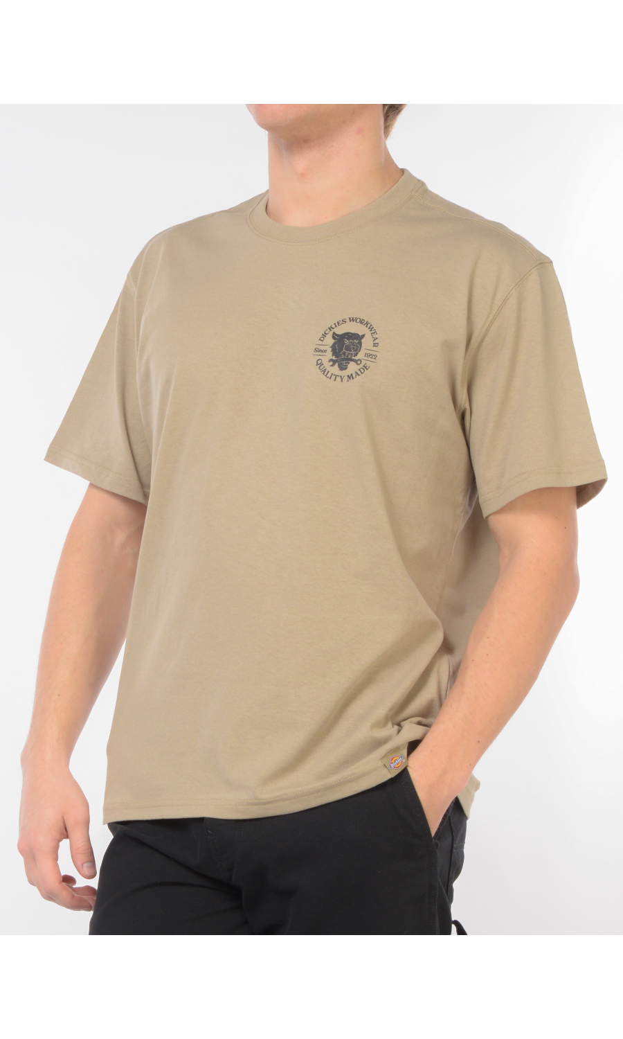 t Shirt da uomo Dickies girocollo maxi stampa